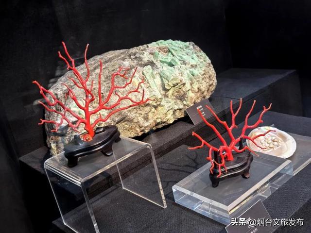 【乐享烟台】烟台自然博物馆:“五美融育”绘就“仙境海岸·最美博馆”