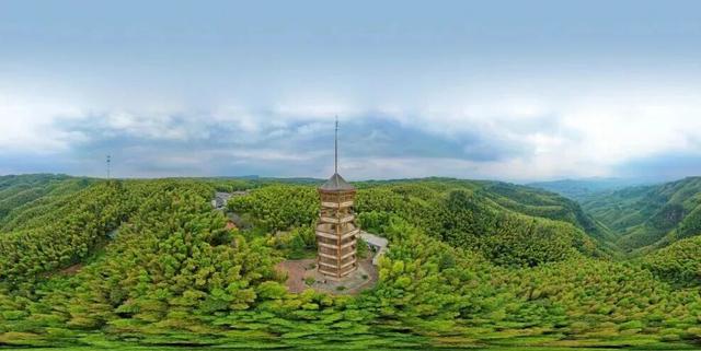 冬日竹海，限时特惠！淡季门票+超值年卡，承包一整年的美景