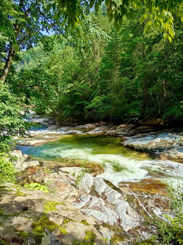 入伏了！黄柏塬带你走进19℃的夏天，云雾缭绕的山野避暑秘境