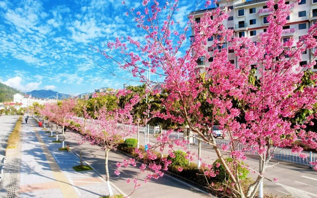 普洱，不止四季！🥰