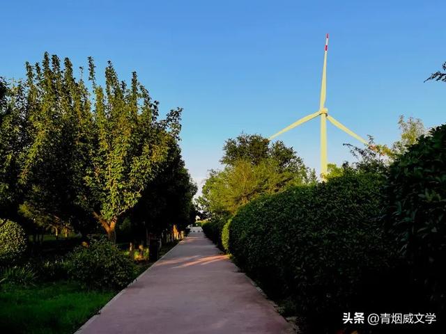 登上古潼关 俯瞰渭河入黄河