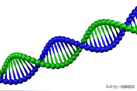 亲子鉴定全解析，揭开DNA的神秘面纱！图片