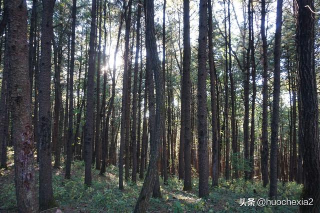 3200公里东北行（D2）——伊春北山公园