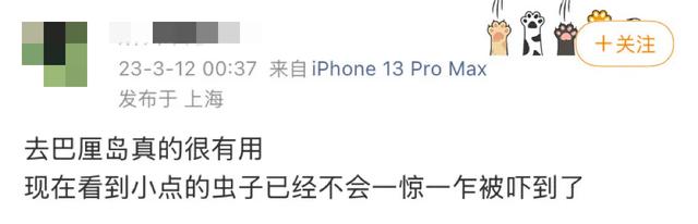 阻止我去巴厘岛旅游的唯一理由: