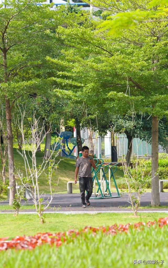 逃离城市热浪！东莞这个秘密花园藏不住了