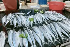 浑身都是“寄生虫”的3种鱼，卖鱼老板自己从来不吃，白送也别要图片