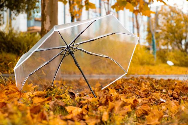 不用去南京，醴陵有属于自己的梧桐大道