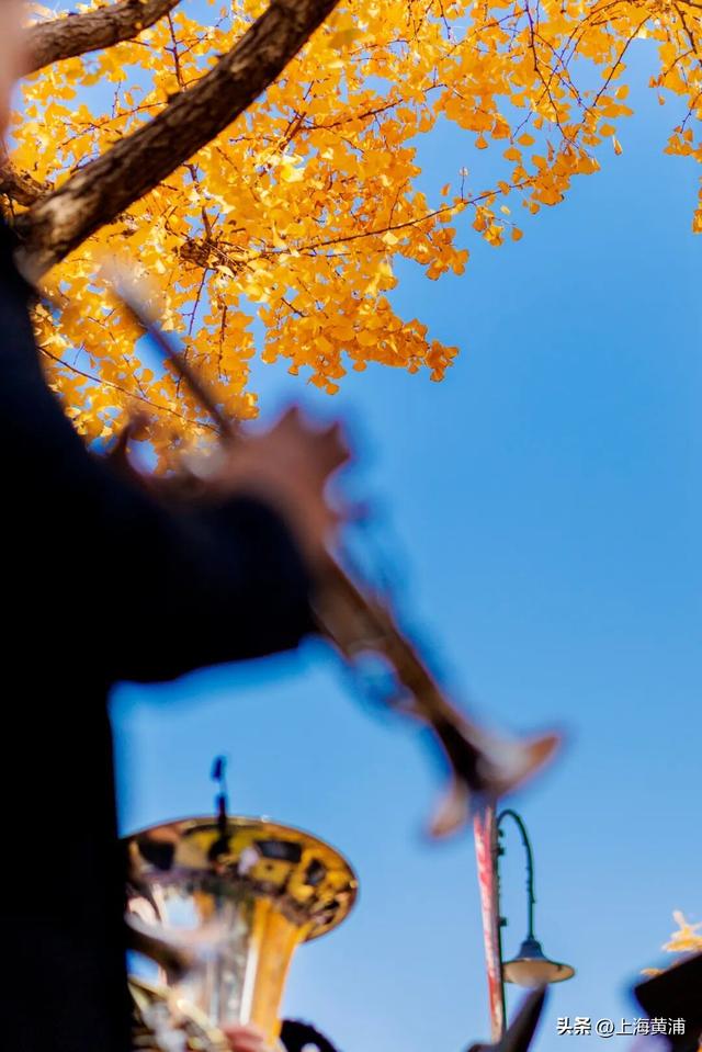 市中心的“金色会客厅”，成为了最欢乐的海洋！