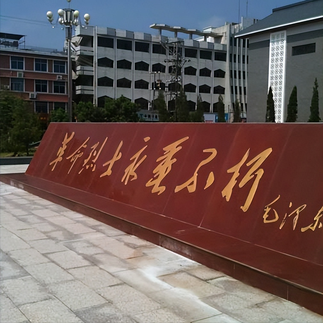 86年母子到烈士陵园祭拜，儿子突然惊喊：妈，这墓碑上有你名字