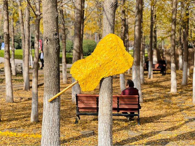 框住一园秋色：临沂园博园创意景观引客来