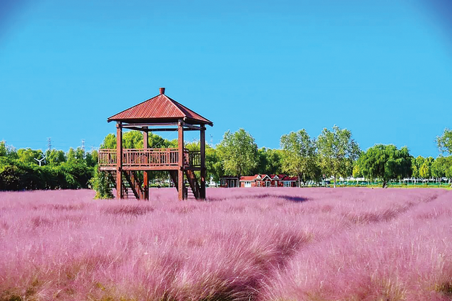 文旅海州——烟火里藏诗意 融合发展聚合力