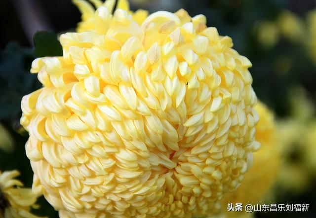 转了一个小圈·及其它