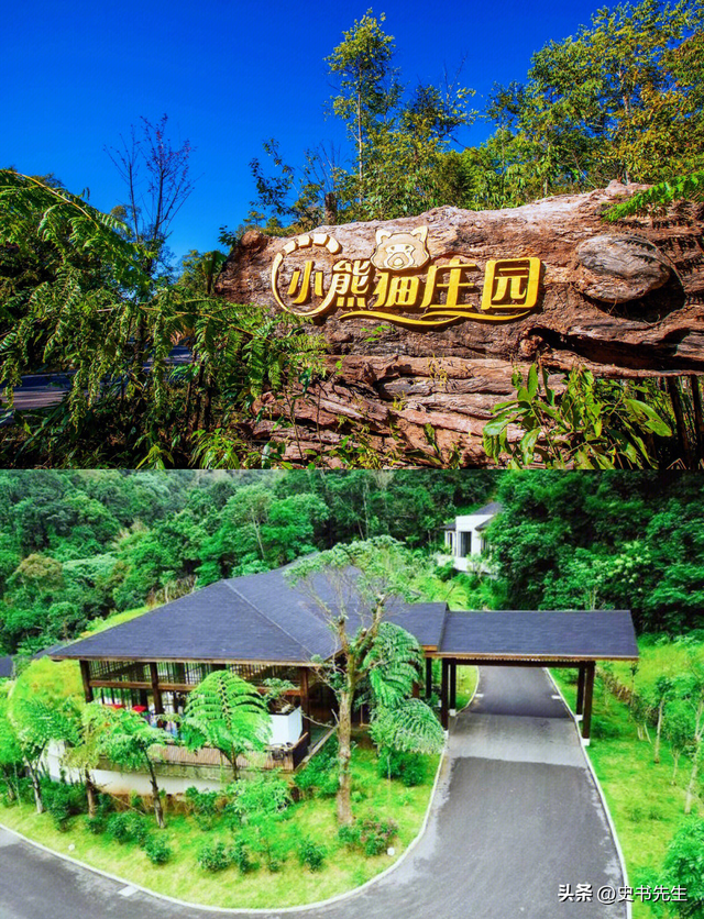 大批国人仍不听劝执意去日本！在日媒追问下，他们的回答太扎心了