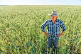 日本农民真能年入50万吗？揭秘农业收入背后的真相与挑战图片