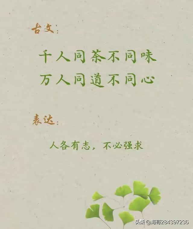 每天背一句古诗词，百天后你将出口成章，腹有诗书气自华