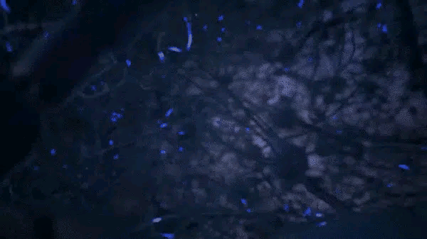 纳米机器人有了新突破