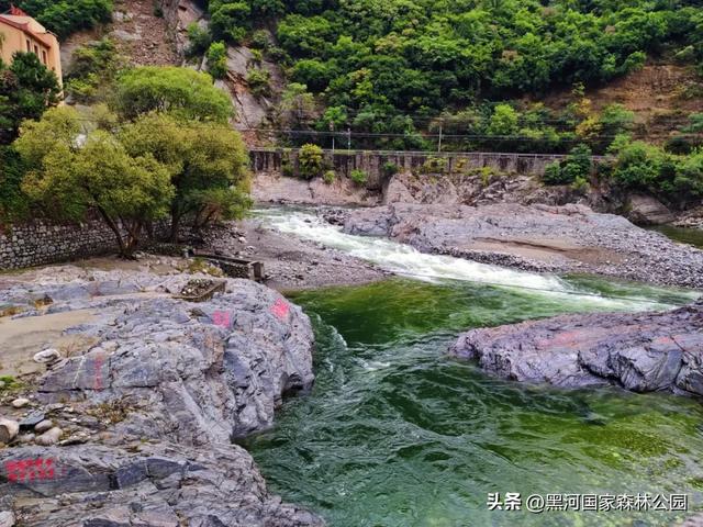 来一场「云赏黑河」之旅！听雨观山，神游林海