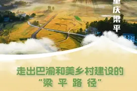 重庆梁平：走出巴渝和美乡村建设的“梁平路径”图片
