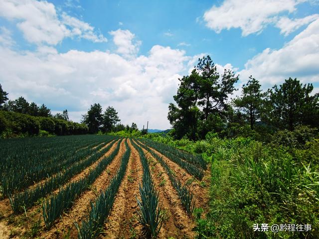 老人岩与磨刀岩：走过万仞崖壁之间不足一尺宽的险峻小道