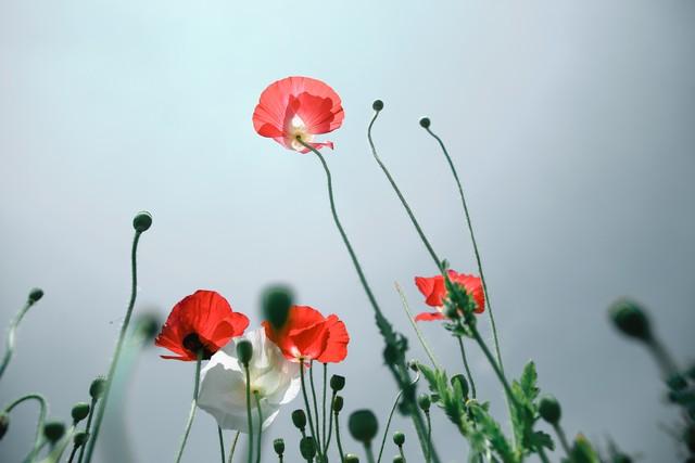 属猪人的后半辈子	，特别强调71年的，不是一般的准！