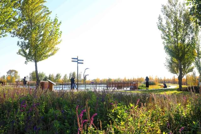 北疆文化 遇鉴赛罕 | 八拜湖实现华丽变身,成为热门“网红打卡地”!