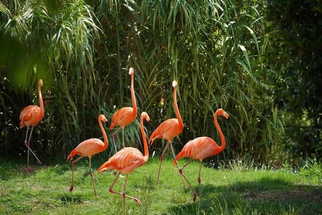 “你怎么知道王嘉尔来我家门口啦？”