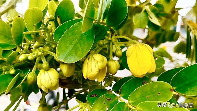 我这么爱你，你也爱我吗