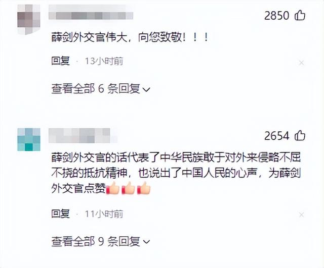 日本自民党发声：要求中国解决问题！否则将对薛剑采取坚决措施