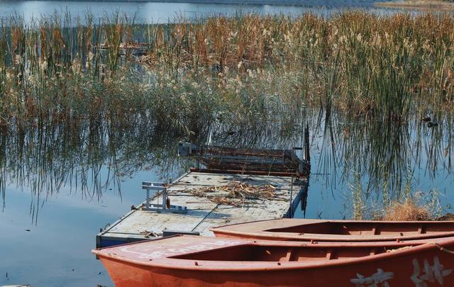 秋之彩色吉林｜苇花飞处是镜湖
