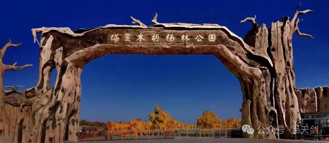 穿越“死亡之海”！