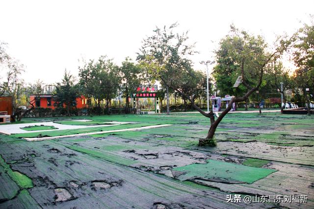 一河两路东端的烧烤场一带暮秋景色