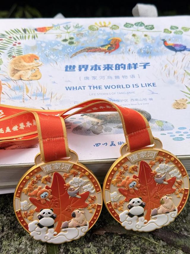 限定开放！唐家河红叶迎来最佳观赏期，现在出发正当时！