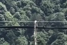 不寒而栗！福建龙岩，有村民在野外电缆上，发现一条挂在上面的蛇图片