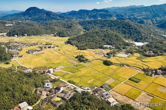 龙岩周末去哪儿｜秋的余温，藏在龙岩这些地方→