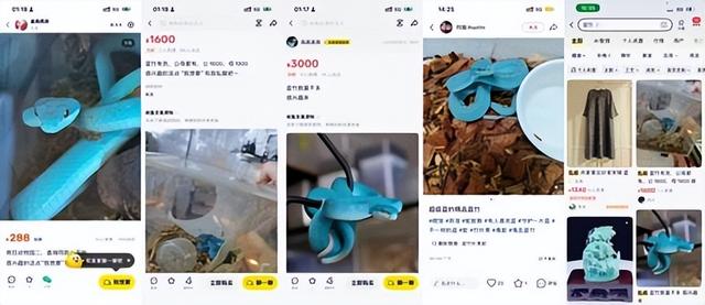 竟拿生命追 IP？《疯狂动物城 2》“活周边”暗藏杀机