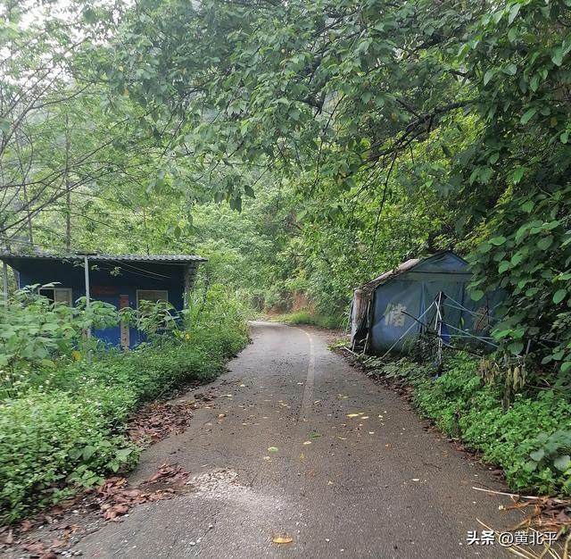 广西与越南边界的沿边公路之旅，途中遇到的糟心事深感无奈