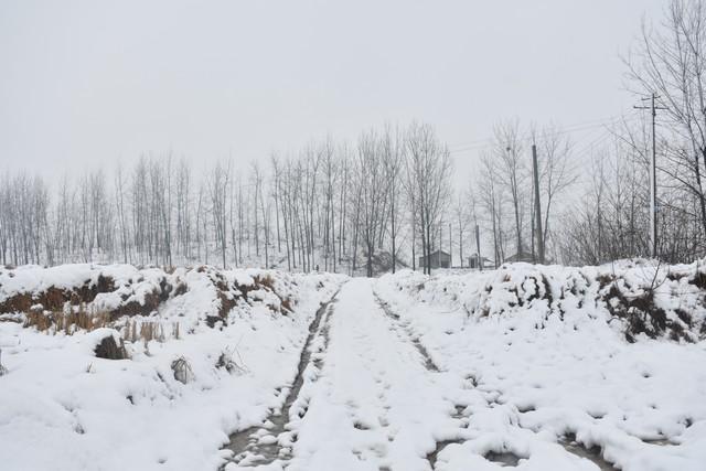 2026年“数九	”时间表来了！冬天到底冷不冷，答案来了！