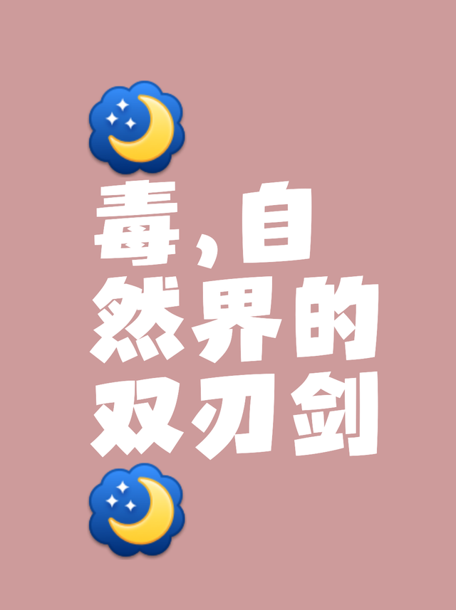 美国刺杀案背后，互联网暴力毒瘤正在摧毁一代人