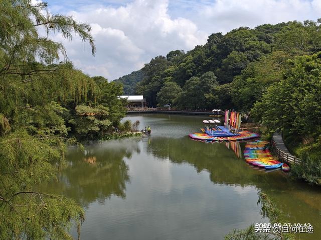 帽峰⼭:山顶有广州最古老岩石，这里红叶，为何在9月就如此红艳？