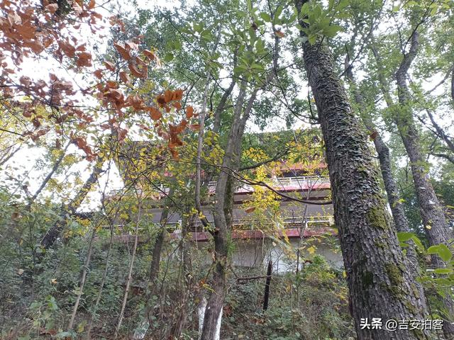 美丽吉安之安福：蒙岗岭公园初冬风光欣赏