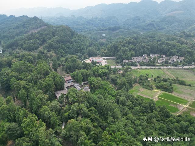 成都古镇（16）邛崃夹关古镇
