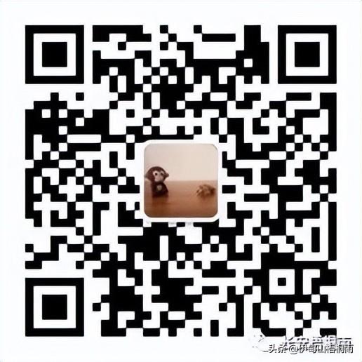 新疆之旅（六）：美丽的巴音那木