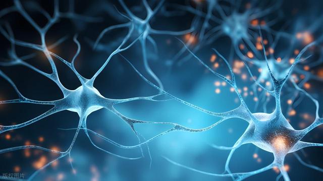 AI帮助人类物理学家取得哪些成果