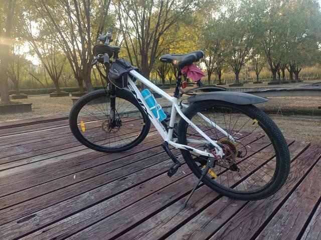 骑行孤独寻心静