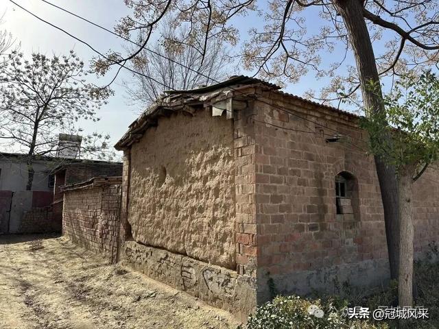 冠县乡韵·辛集镇饮马庄