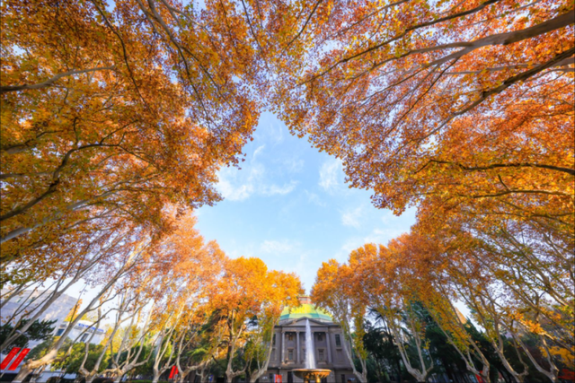 打卡！南京这处“最美200米”，近日“上线”！