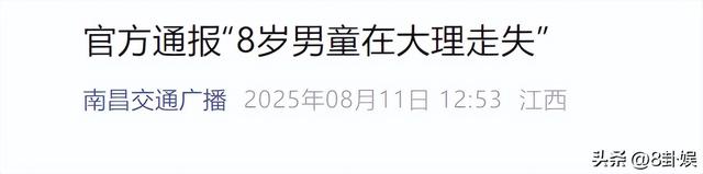 自闭男孩大理苍山失联后续：救援队员发声，原来一切早有迹象