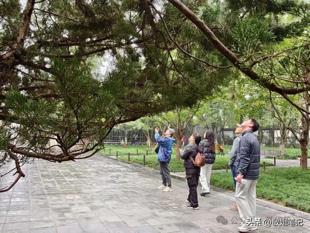 【西安游学之三】文博探秘：西安博物院