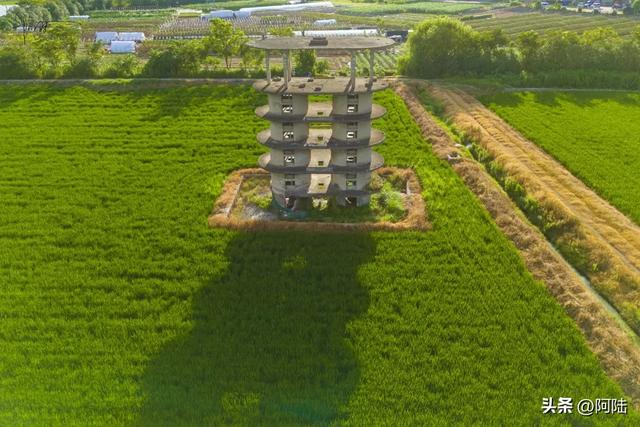 冒着39度高温打卡杭州十五堡，只为这座破烂小楼，你觉得值吗？