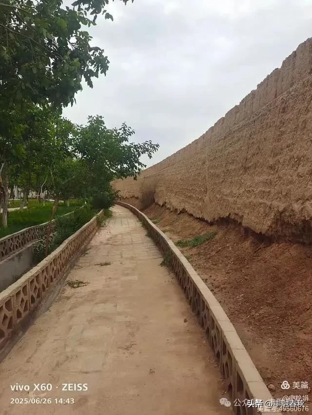 新疆库车:穿越历史的文化之旅|申艳娟